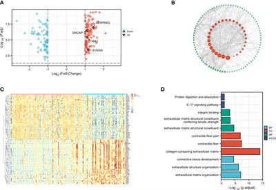 A novel signature constructed by differential genes of muscle-invasive and non-muscle-invasive bladder cancer for the prediction of prognosis in bladder cancer